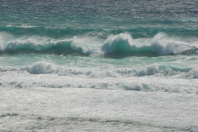 Dsc_0283