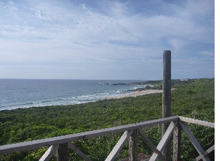 Photo_3