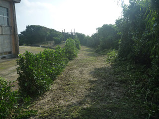 Photo_3