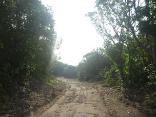 Photo_4