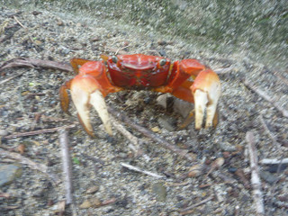 Photo_5